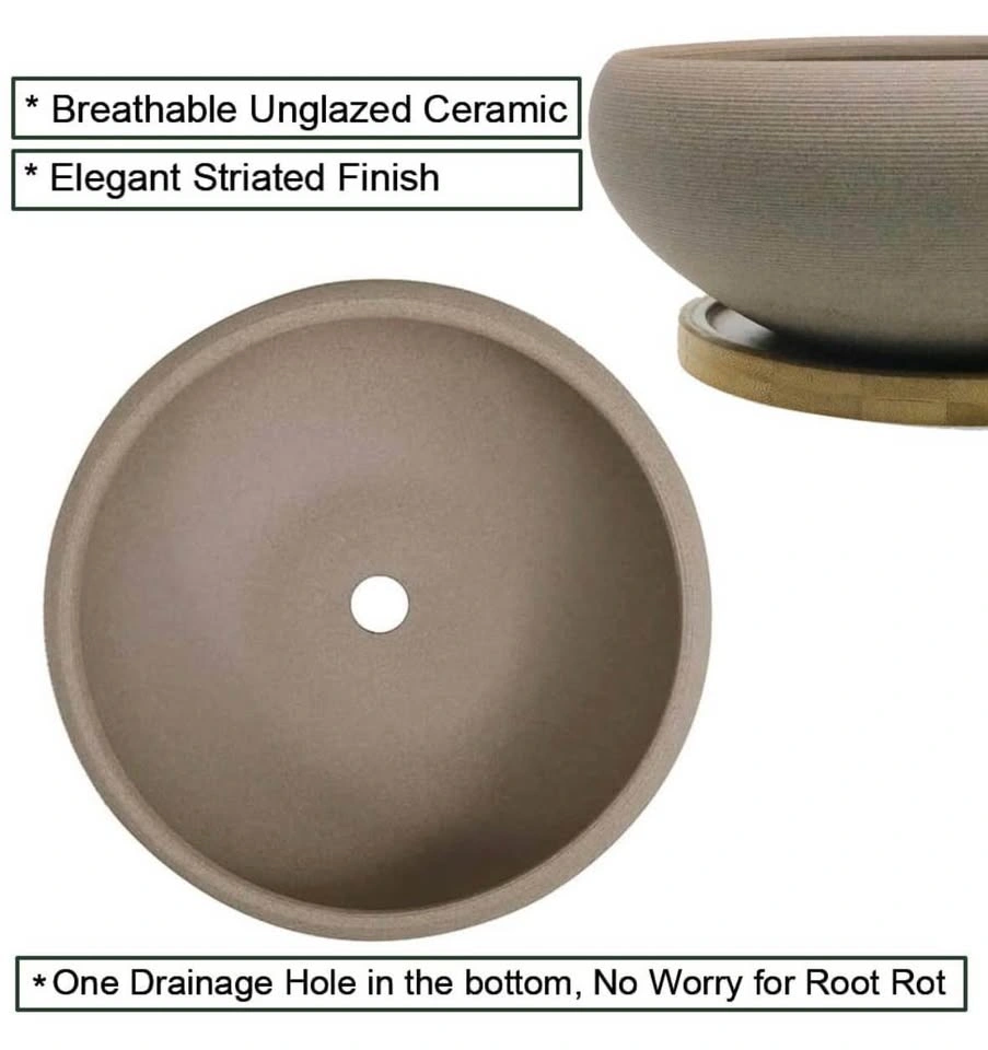 Round Unglazed Ceramic Bonsai Pot with Bamboo Tray - photo 2