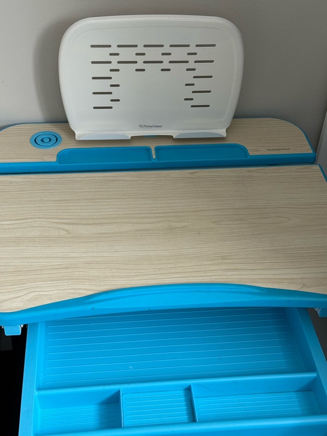Ergonomic Kids Desk - photo 3