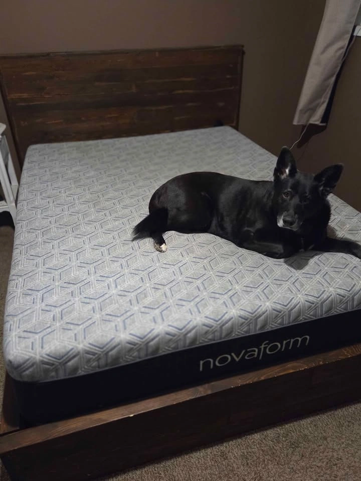 Queen SOLID Bedframe - Wooden, Handcrafted - photo 4