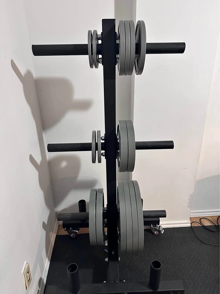 Mobile Weight Plate Tree Rack