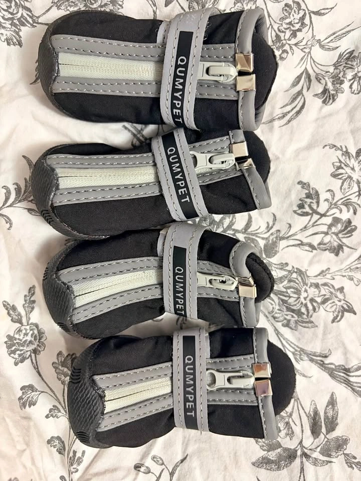 QUMYPET Dog Boots - Size 3