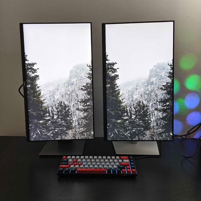 Dual Dell 24" FullHD IPS Monitors – Great Condition! - photo 3
