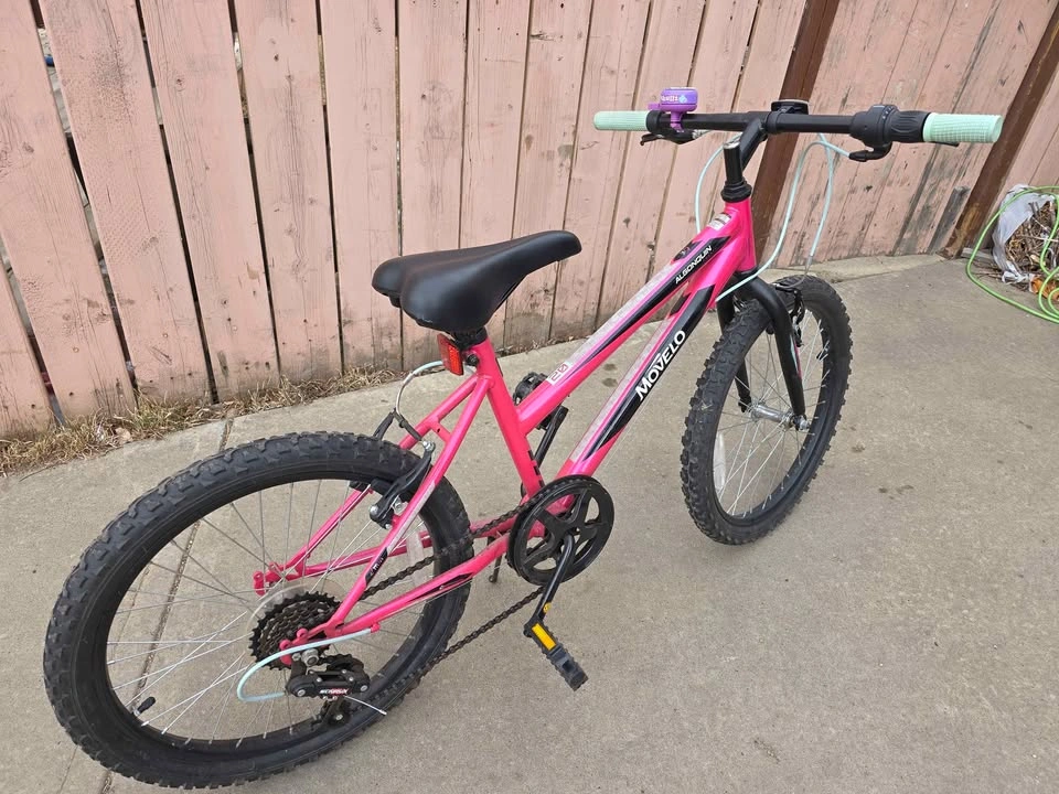 20" Pink Kid's Bike Algonquin Movela - photo 2