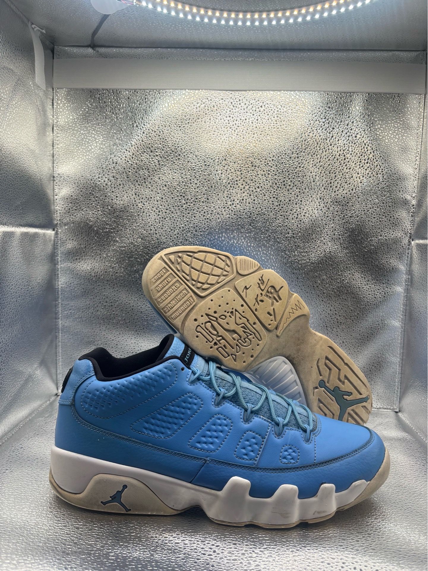 Air Jordan 9 Low Pantone