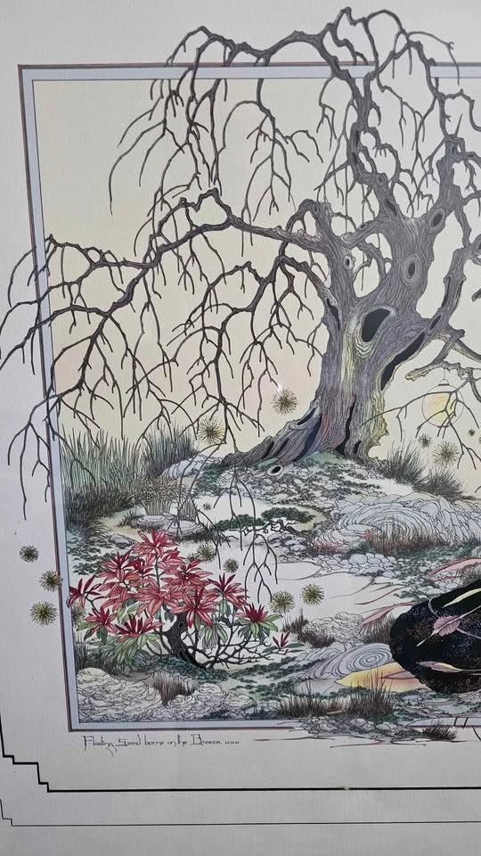 JCGuth Framed Art Print 'Floating Seed borne on the Breeze' - photo 2