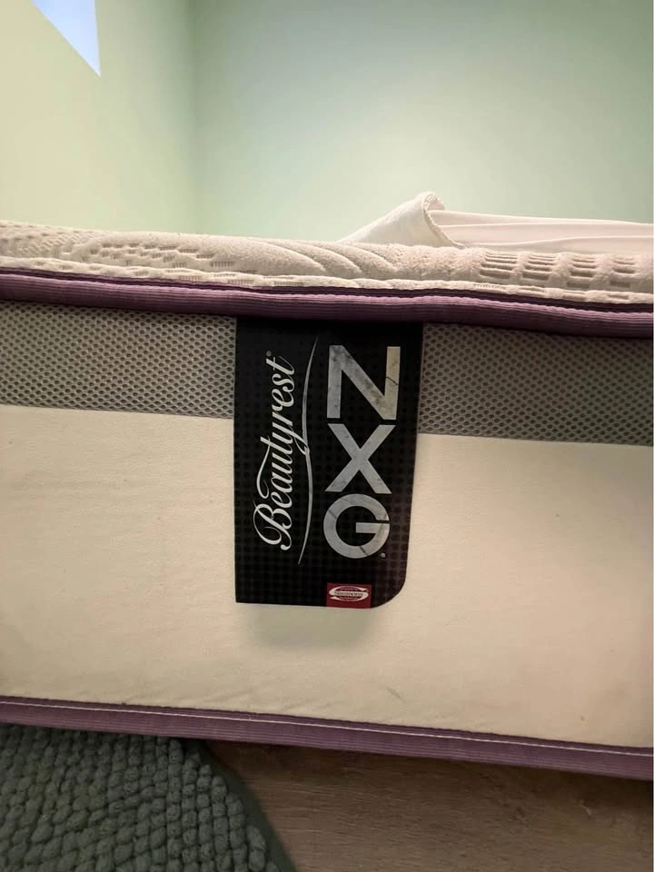 King Mattress with Protector and Comforter