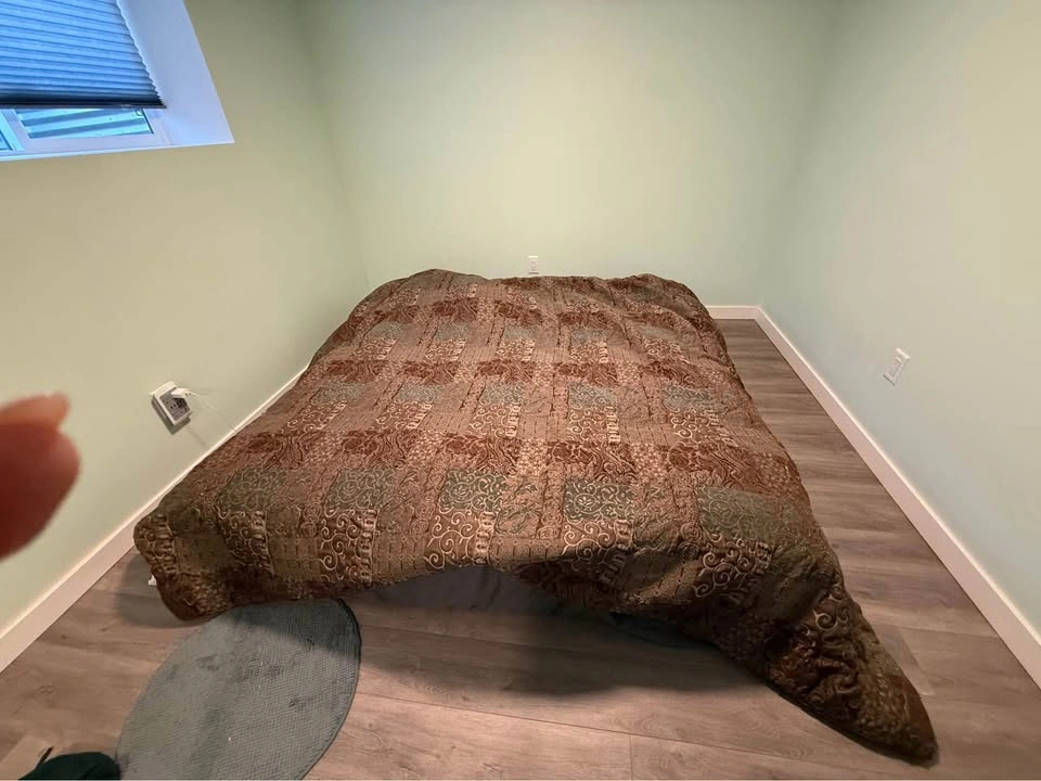 King Mattress with Protector and Comforter - photo 2