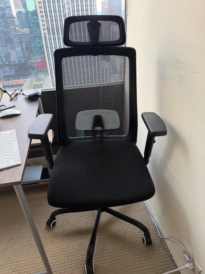 Ergonomic Mesh Office Chair
