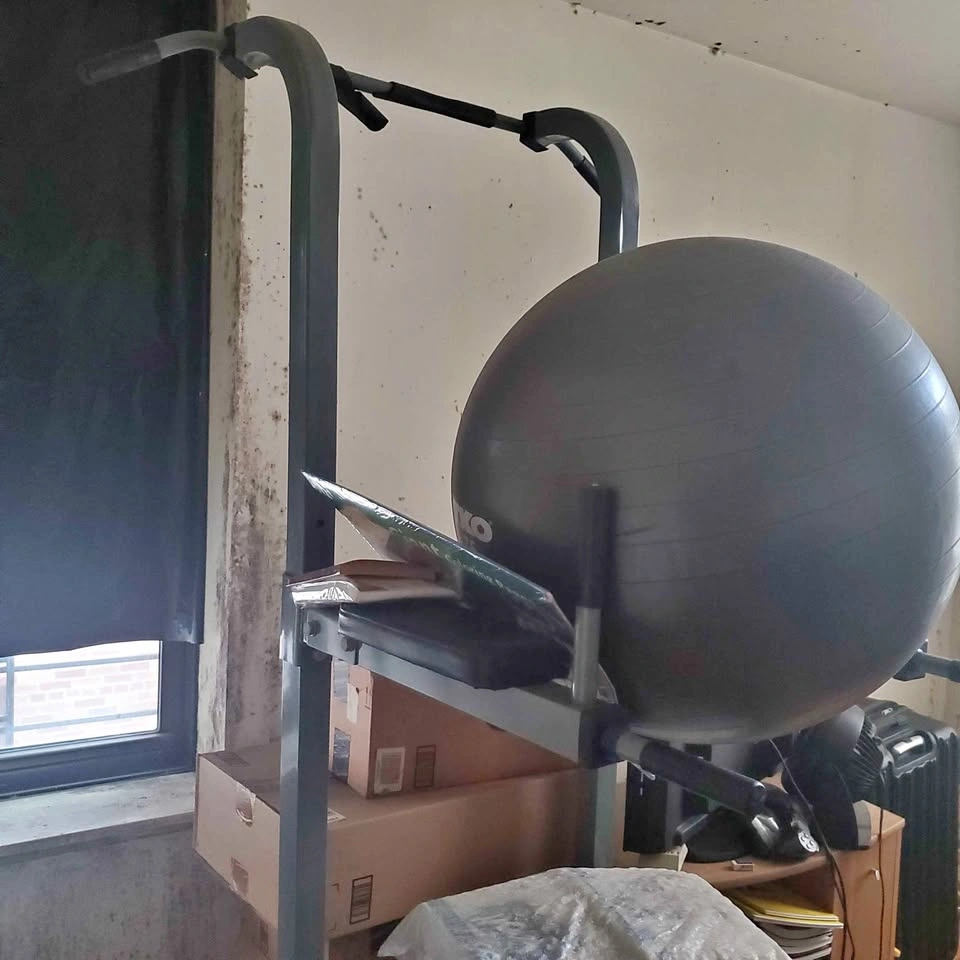 Pull Up Bar, Tricep & Crunch Ball