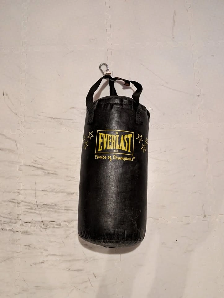 Everlast Punching Bag