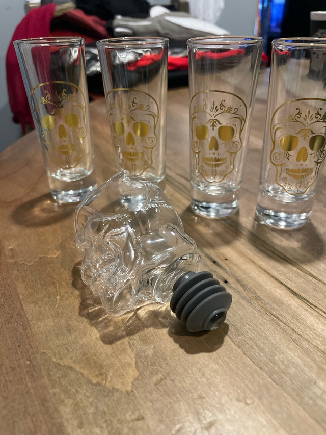 Skull Shot Glasses