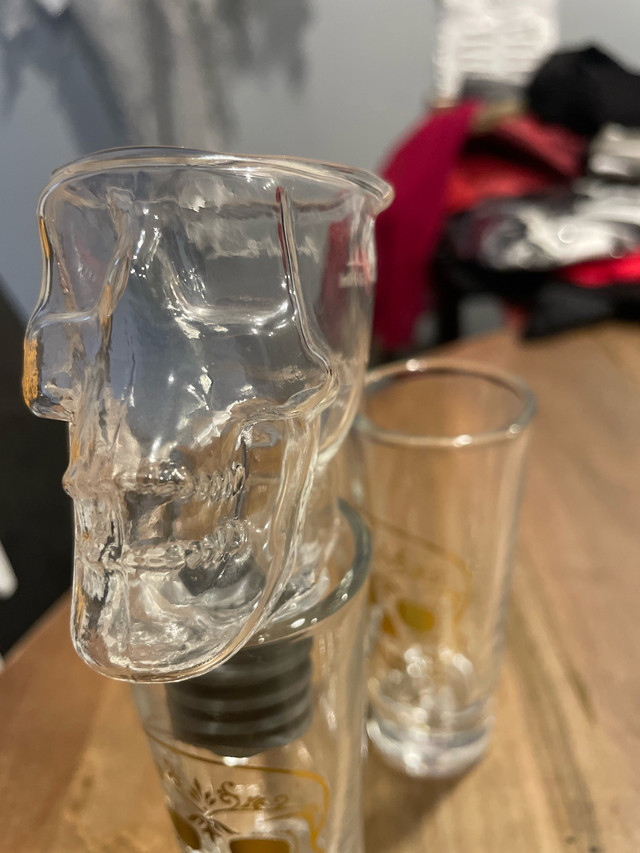 Skull Shot Glasses - photo 3