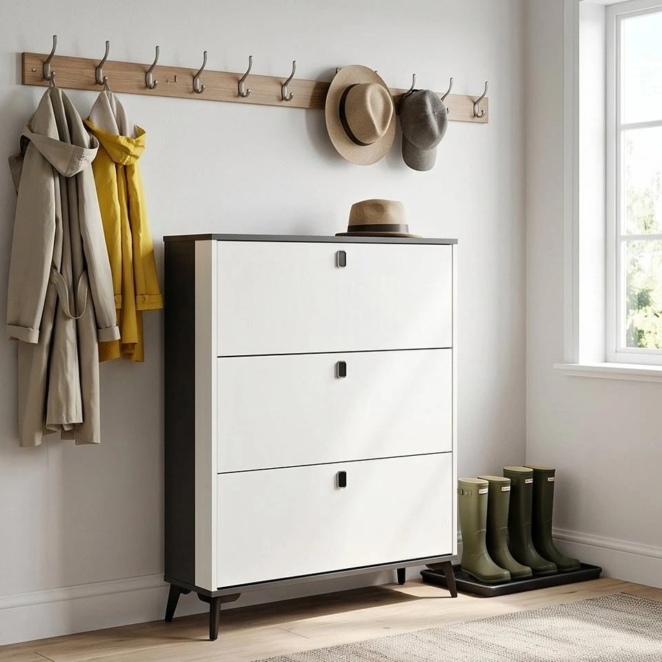 Modern Nordic Shoe Cabinet - From $75