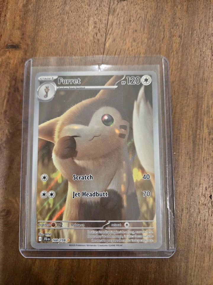 Furret 168/159 Journey Together