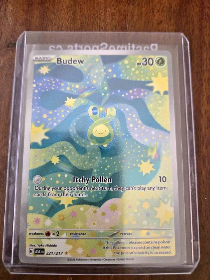 Budew 221/217 from Ascended Heroes