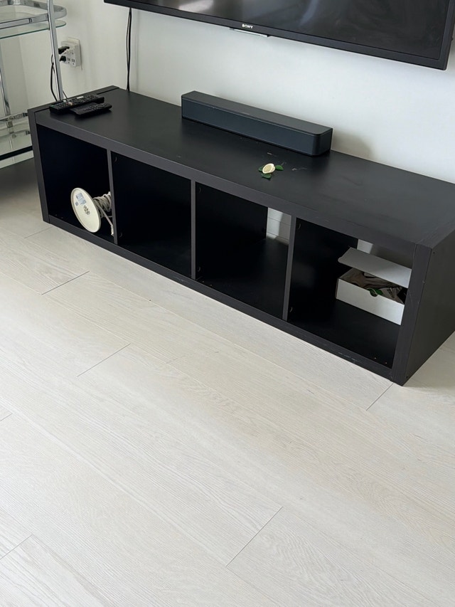 TV UNIT THING