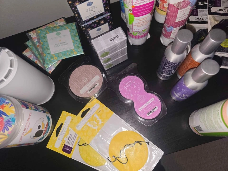 Miscellaneous Scentsy Items - photo 3