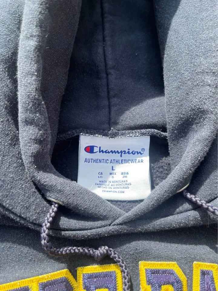Notre Dame Hoodie - photo 4