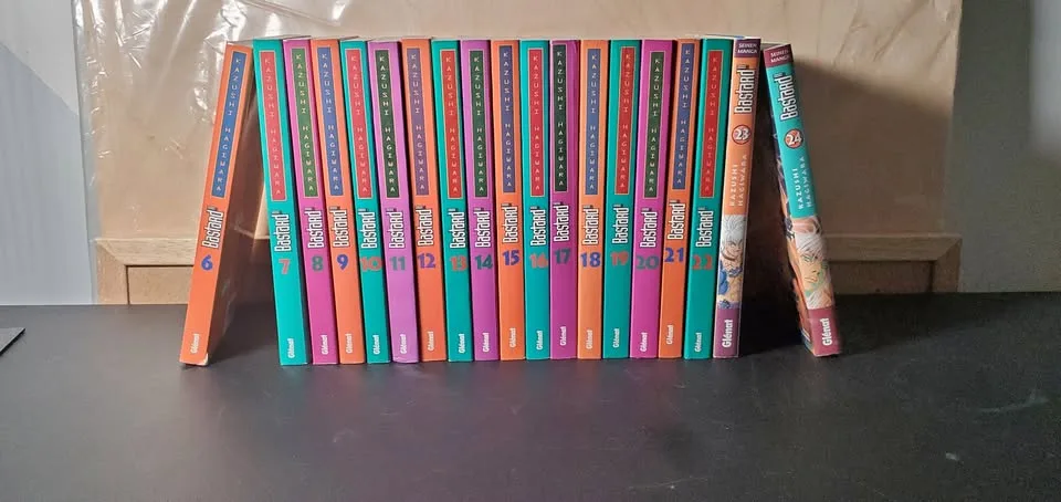 BASTARD!! Manga Books 6-24 (FRENCH)