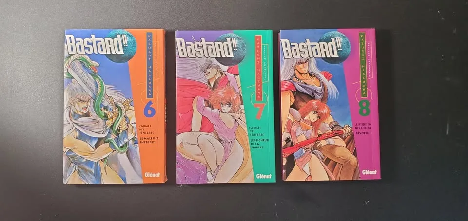 BASTARD!! Manga Books 6-24 (FRENCH) image indicator(2)
