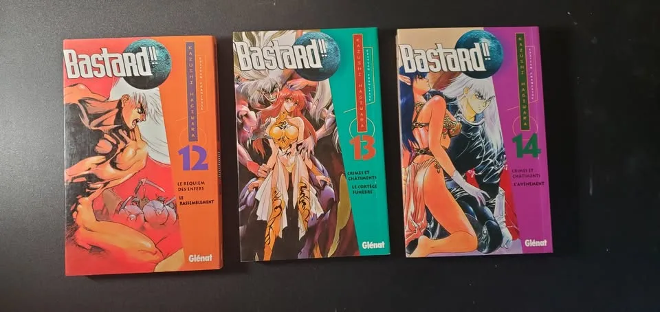 BASTARD!! Manga Books 6-24 (FRENCH) image indicator(4)