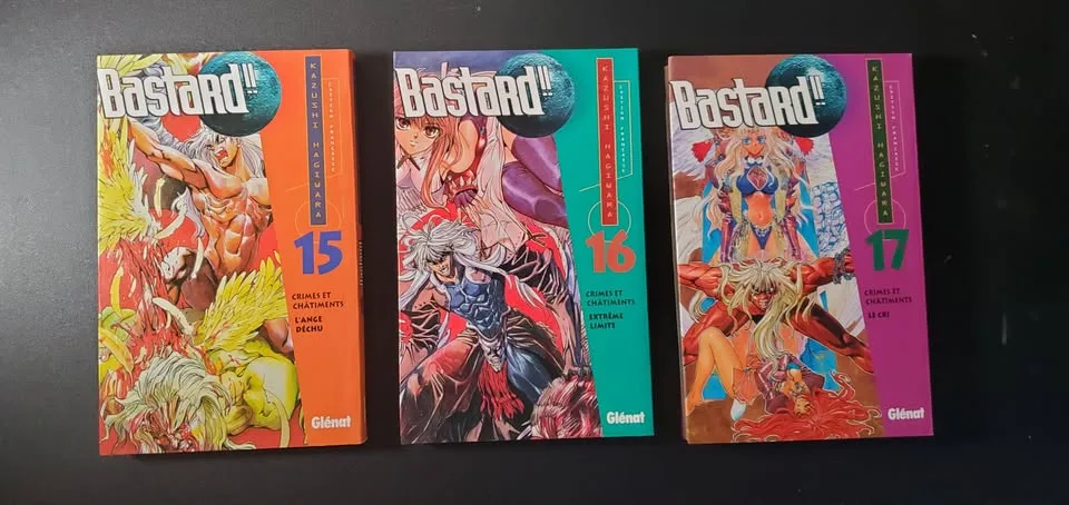 BASTARD!! Manga Books 6-24 (FRENCH) image indicator(5)