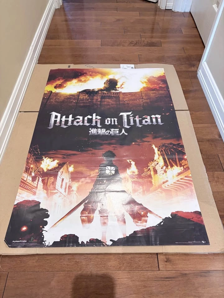 Wall art/ posters (take all for $50) - photo 4