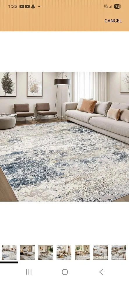 Area Rug Living Room Rugs - 8x10
