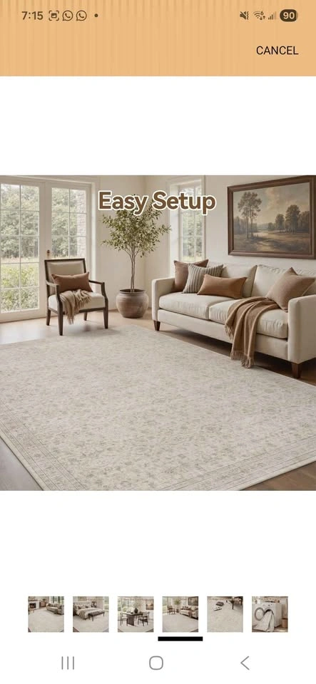 Store Closing Sale Area Rug - photo 4