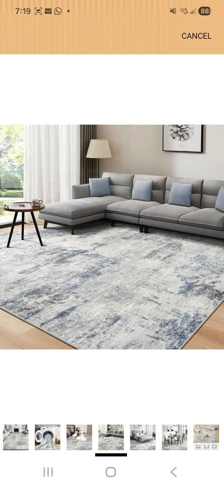 Store Closing Sale Area Rug - photo 5