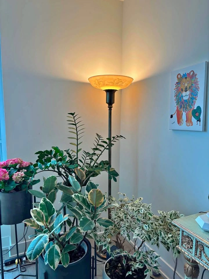 Vintage Floor Lamp