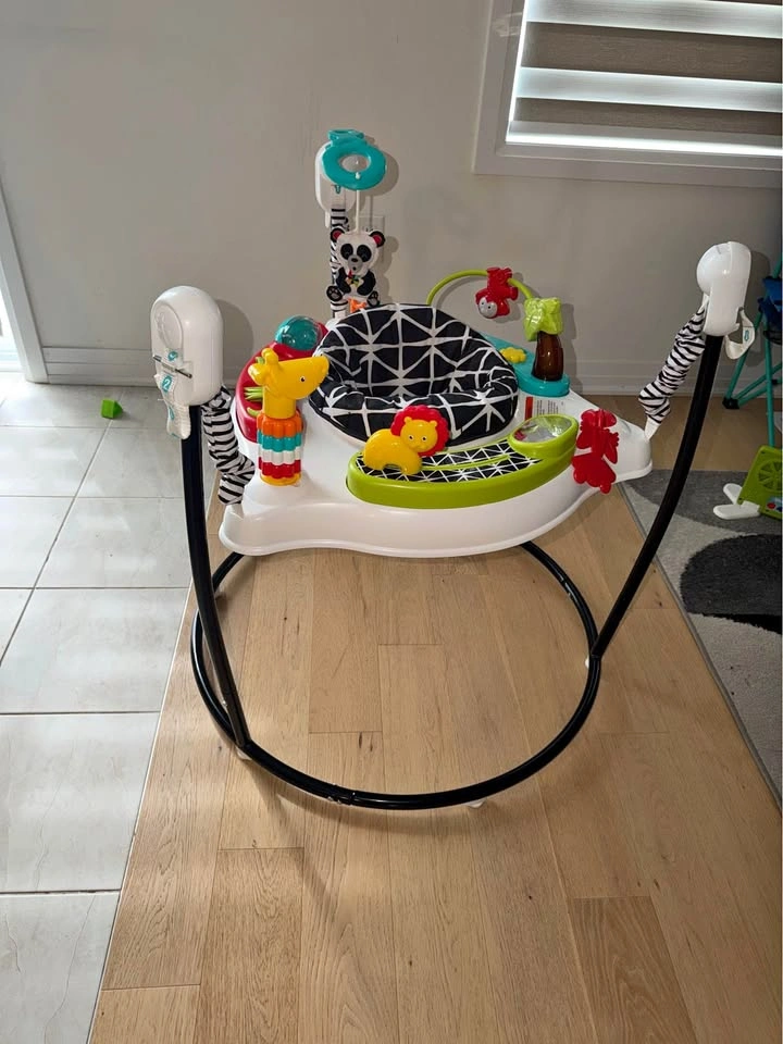 Baby Jumperoo by Fisher-Price