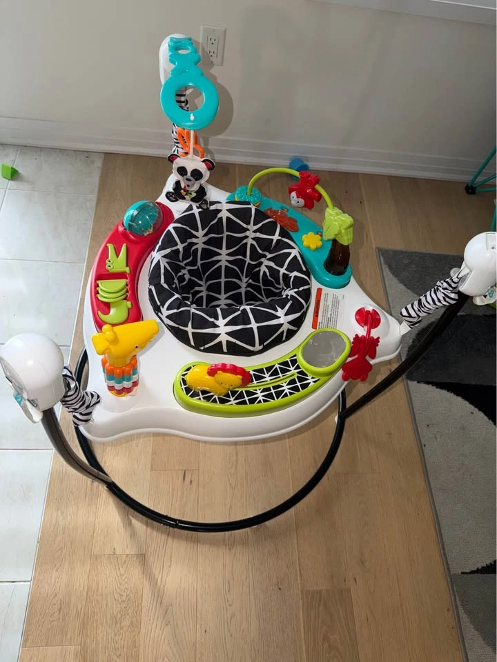 Baby Jumperoo by Fisher-Price - photo 2