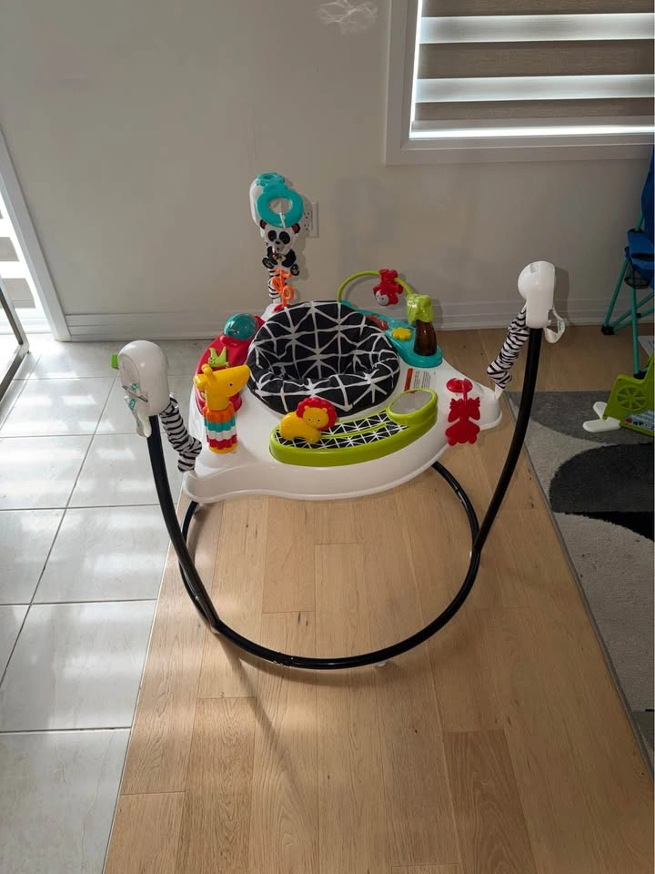 Baby Jumperoo by Fisher-Price - photo 3