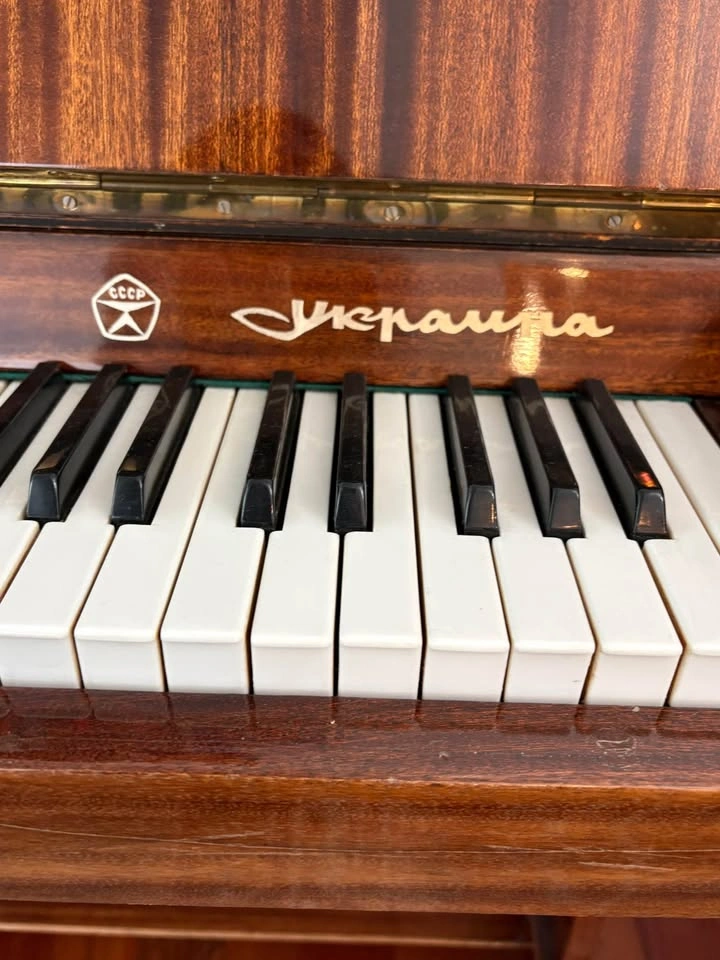 Unique Exotic Wood Piano - photo 3