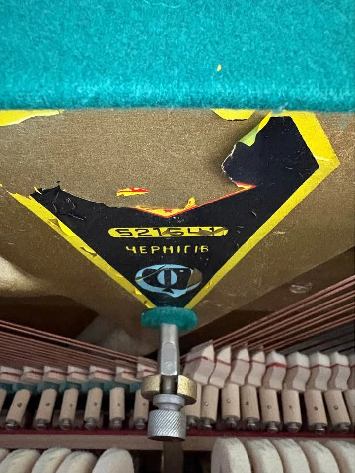 Unique Exotic Wood Piano - photo 4