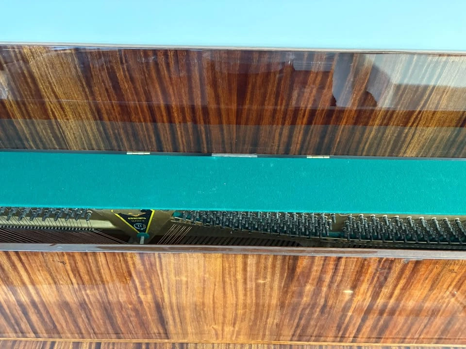 Unique Exotic Wood Piano - photo 5