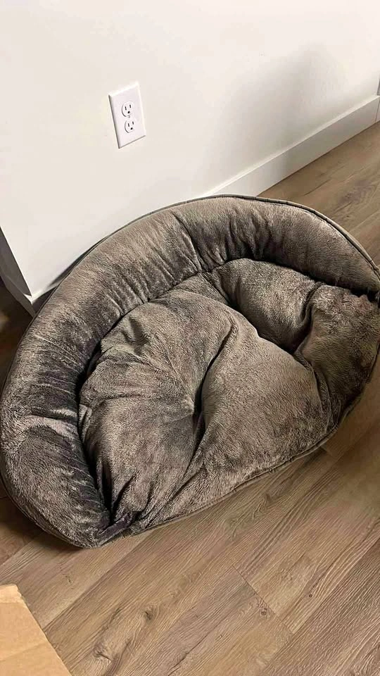 Dog bed for medium to large dog