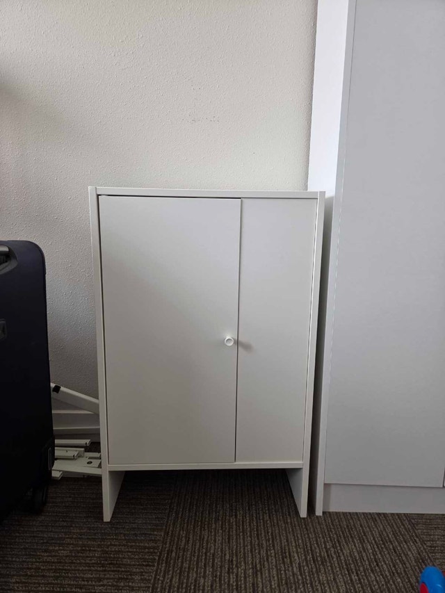 2 Ikea Baggebo Cabinets with Door