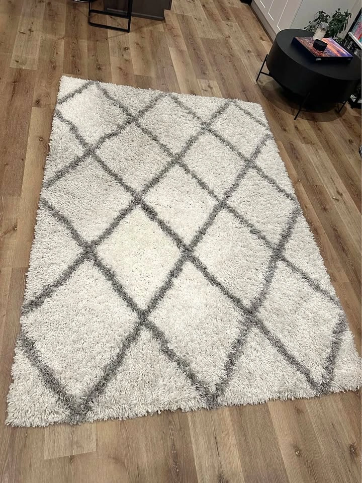 Grey & white shag carpet • 5'3" x 7'6"