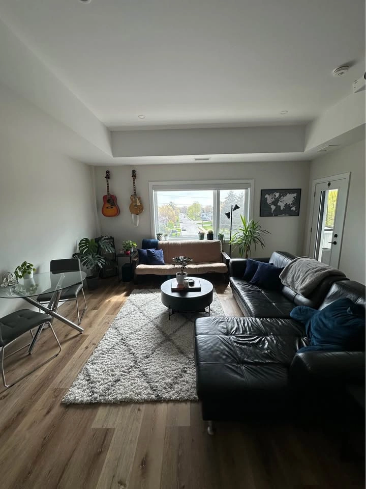 Grey & white shag carpet • 5'3" x 7'6" - photo 2