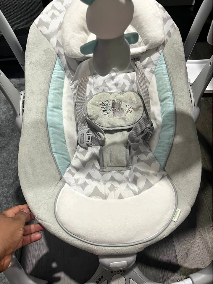 Ingenuity Baby Swing/Bouncer