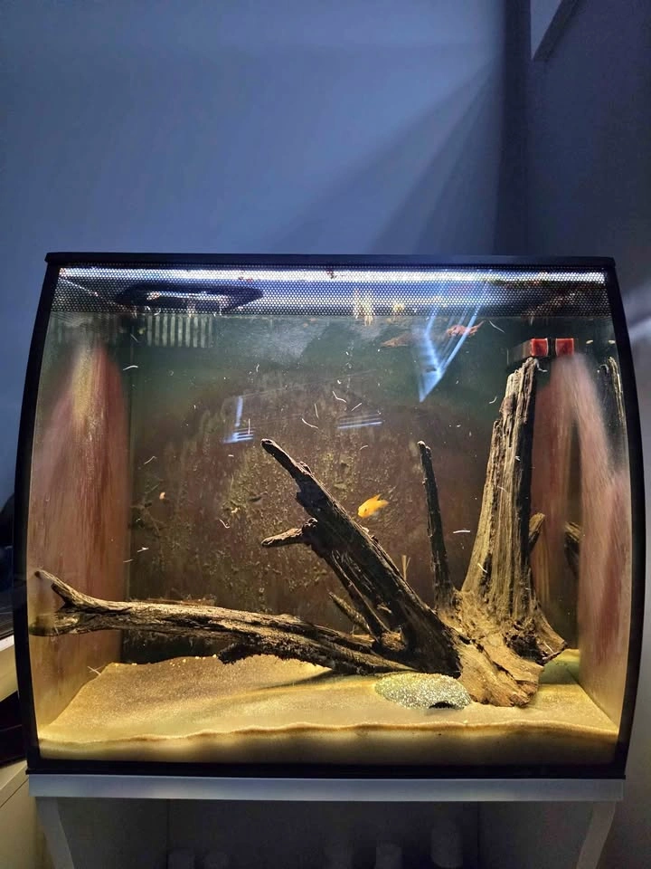 Fluval Flex 15 Aquarium + Stand Combo