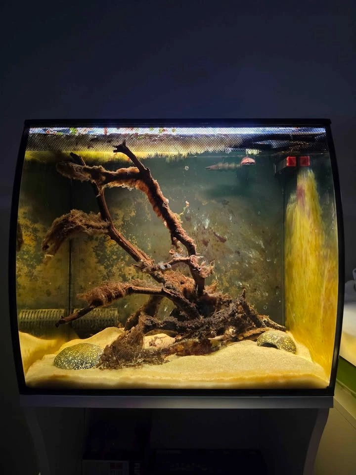 Fluval Flex 15 Aquarium + Stand Combo - photo 2