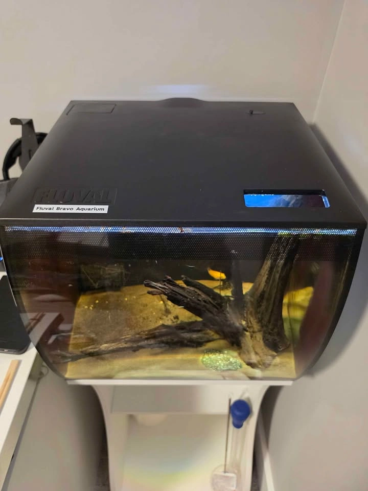 Fluval Flex 15 Aquarium + Stand Combo - photo 4