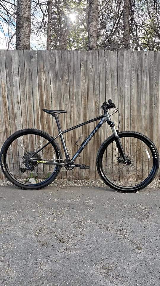 Giant Talon 1 2020 Mountain Bike - Medium Frame