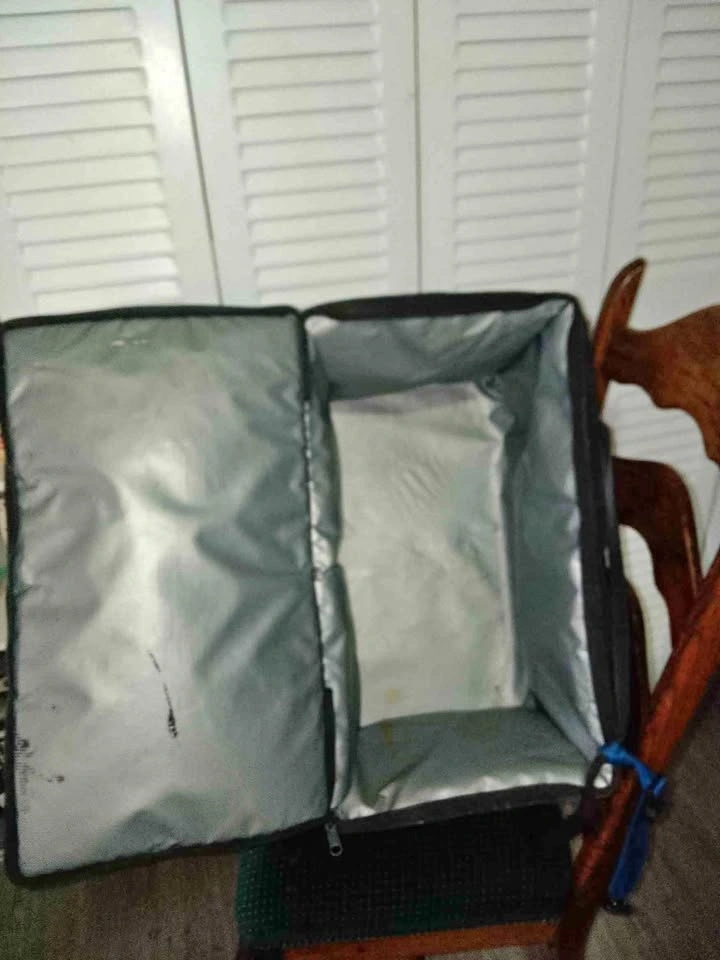 2 Clean & Functional Thermal Bags for Delivery