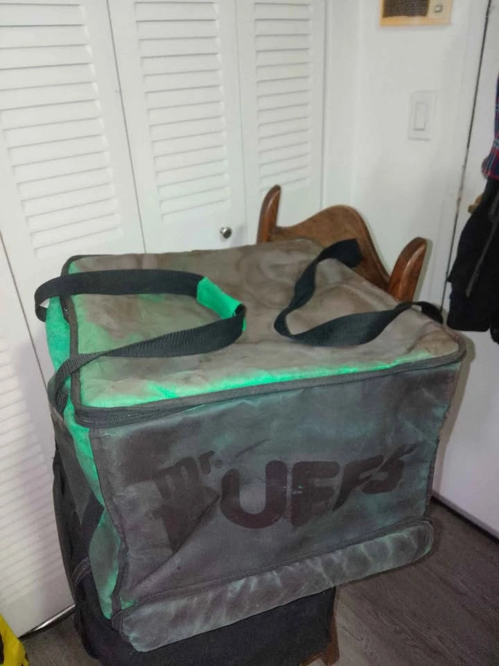 2 Clean & Functional Thermal Bags for Delivery - photo 4