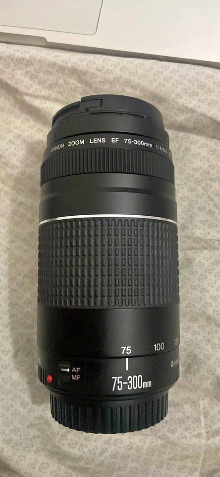 Canon Zoom Lens EF 75-300mm