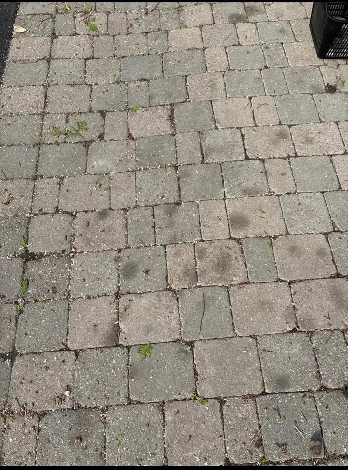 Grey Paver Stones approx 80 sq ft - photo 2